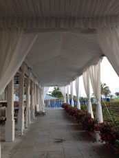 Tent Rental